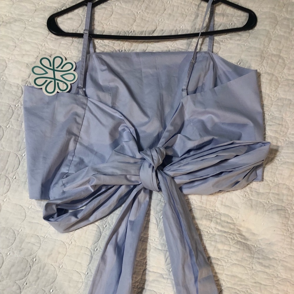 “Bow Me Away Crop Top: Sky Blue”